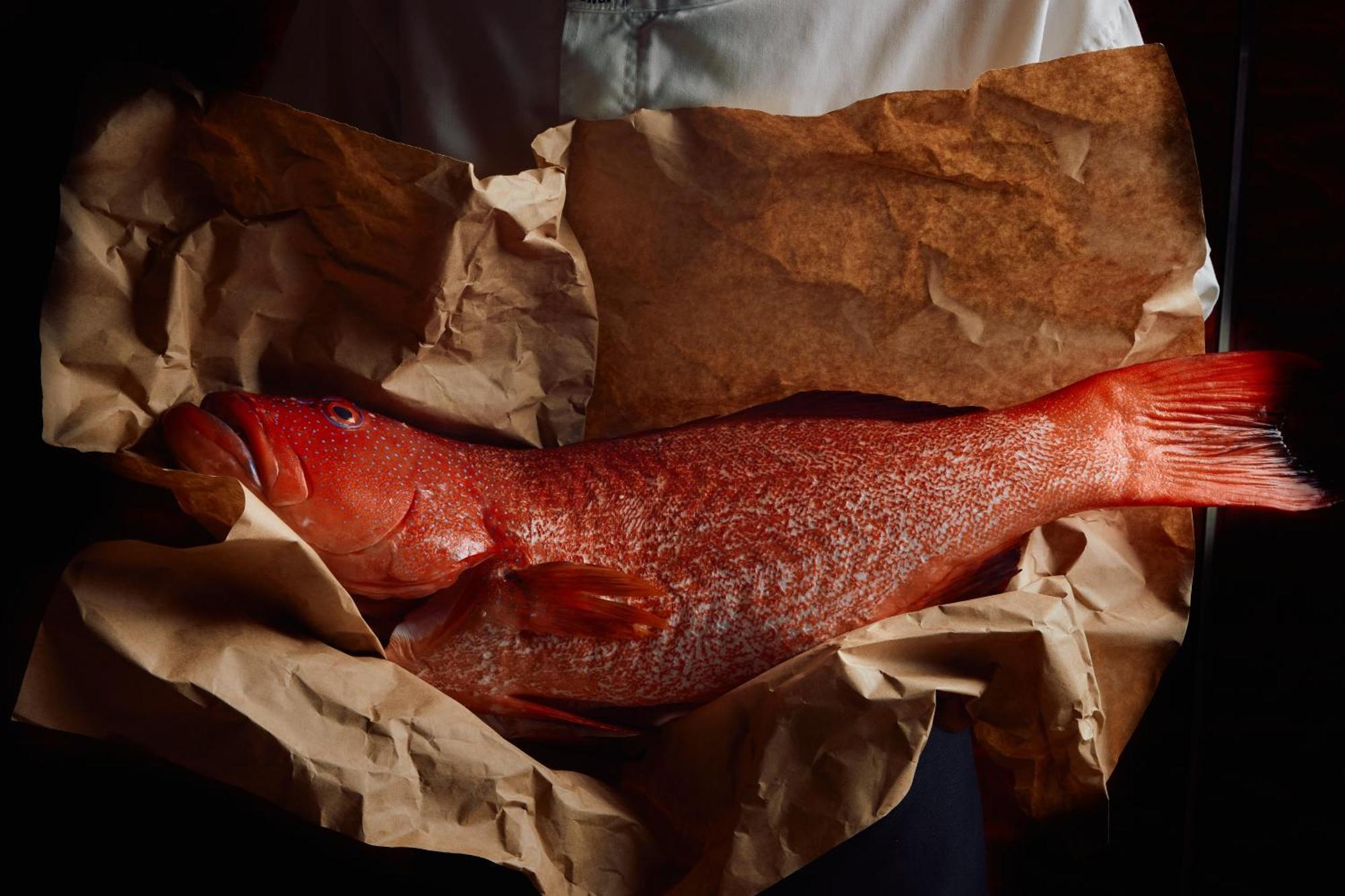 Park Hyatt Melbourne Ξενοδοχείο Εξωτερικό φωτογραφία A smoked turbot
